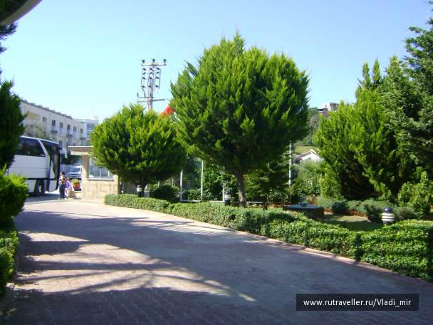 photo 106818