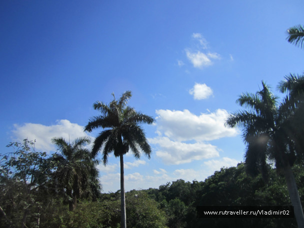 photo 494376