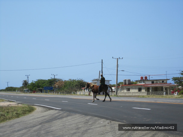 photo 494381