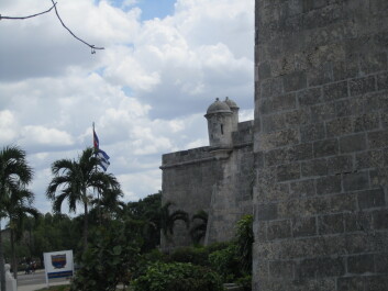 photo 598784
