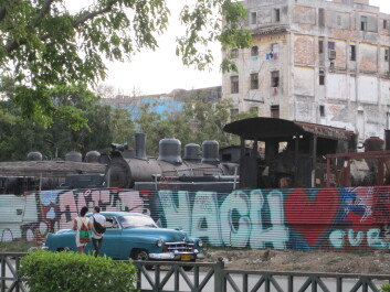 photo 599729