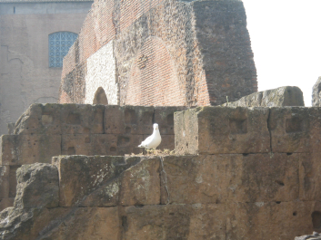photo 992510