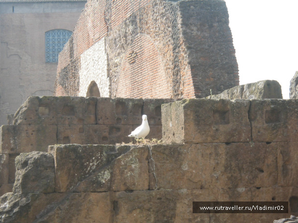 photo 992510
