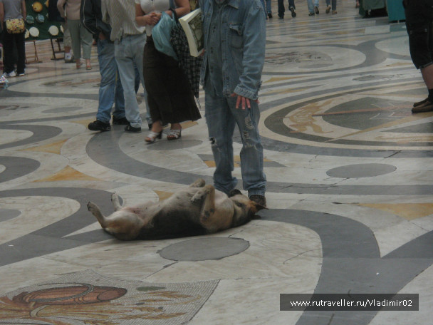 photo 992522