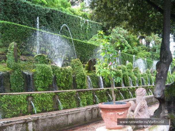 photo 1546532