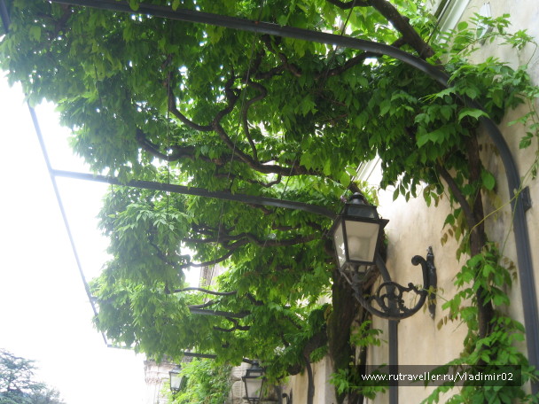 photo 1546536