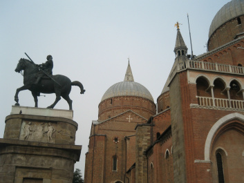 photo 317073