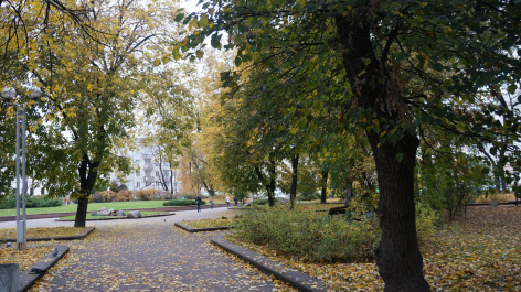 photo 1228722