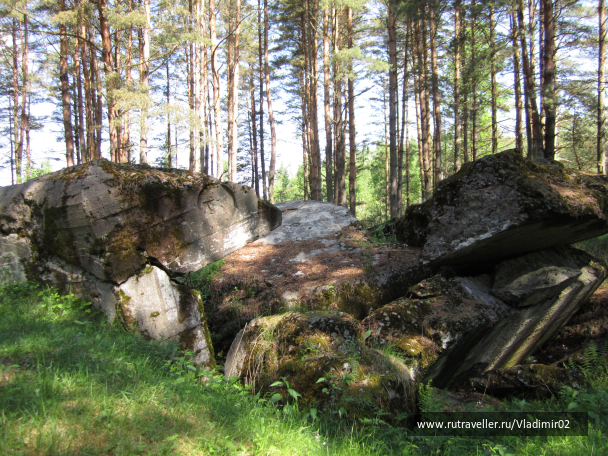 photo 1428157