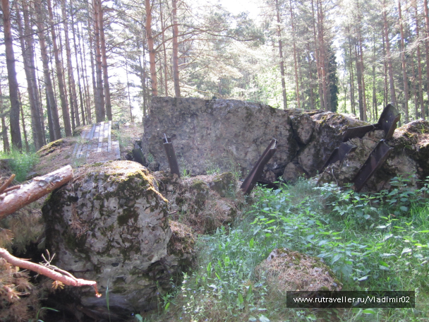 photo 1428158
