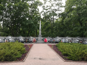 photo 1655384