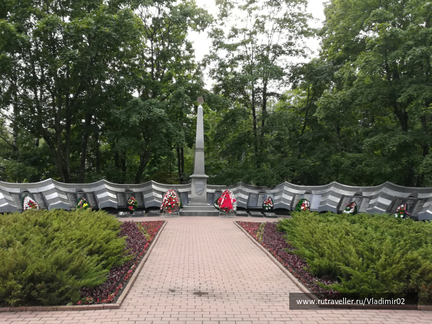 photo 1655384
