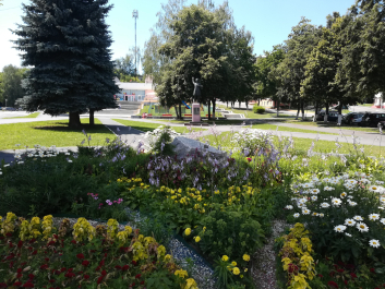 photo 1655410