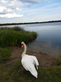 photo 1668684