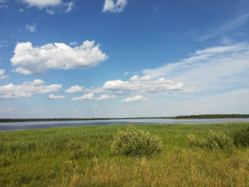 photo 1668691