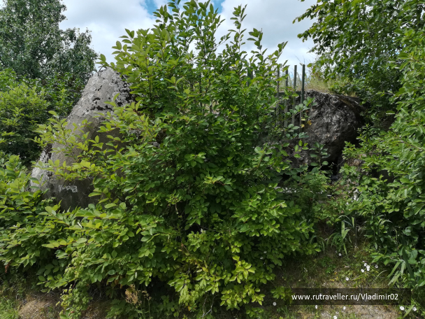 photo 1684425