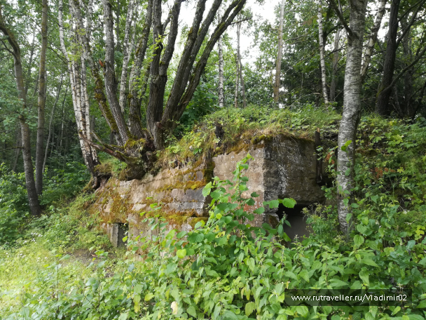photo 1684693