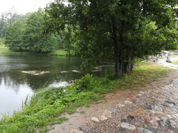 photo 1684703