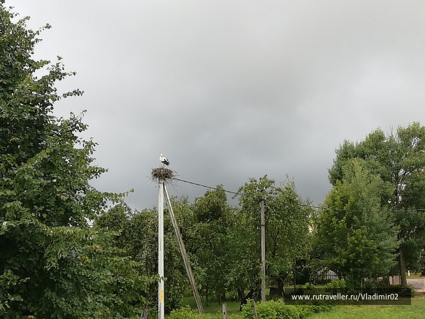 photo 1684708