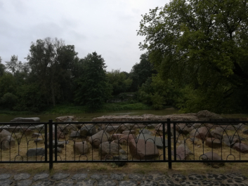 photo 1685872