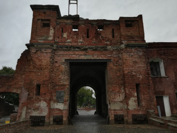 photo 1685874