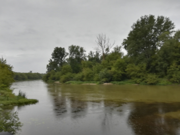 photo 1685875