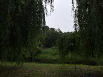 photo 1685877