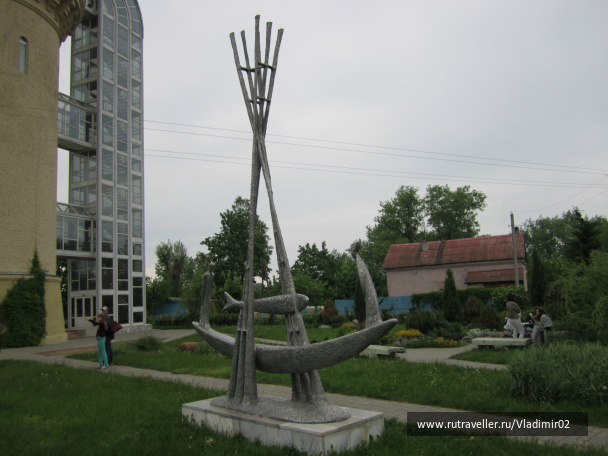 photo 312629