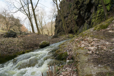 photo 392201