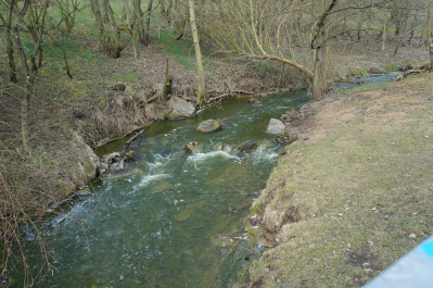 photo 392211