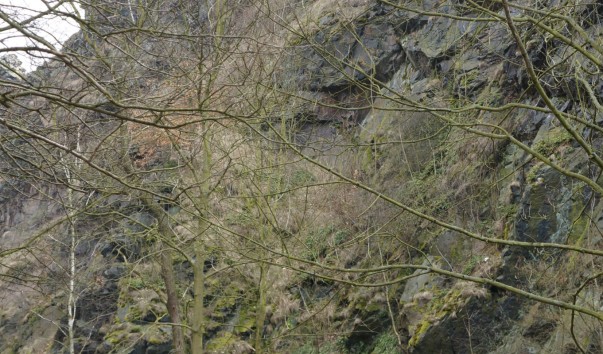 DSC01190