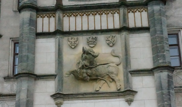 DSC00679