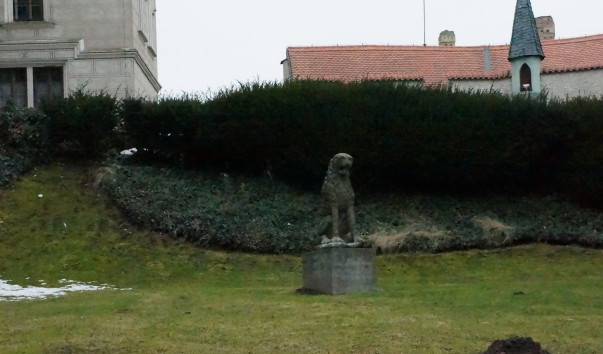DSC00676