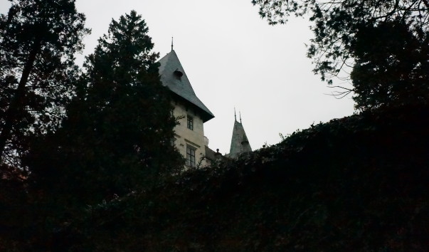 DSC00675