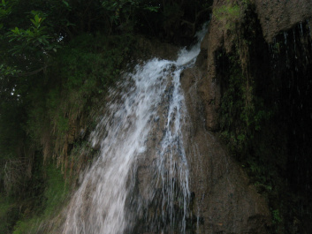 photo 534502