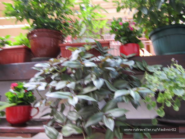 photo 588905