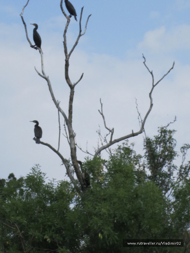 photo 591824