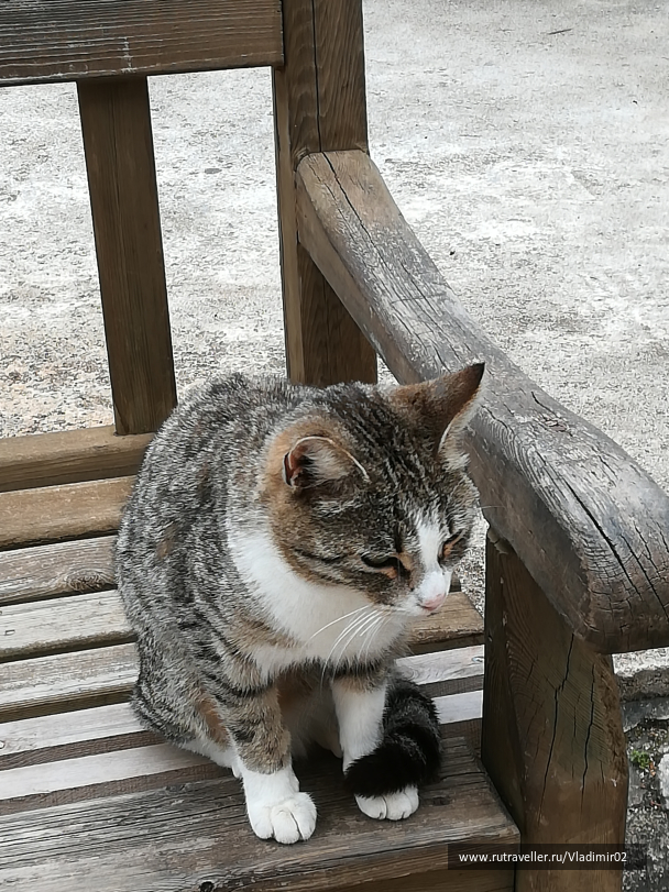 photo 1761687