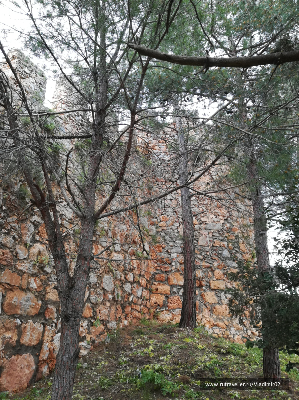 photo 1761692