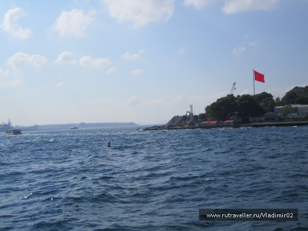 photo 589813