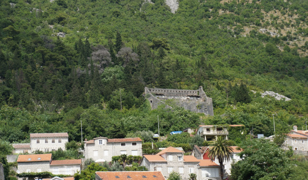 DSC07510