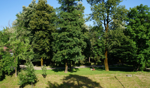 DSC07214