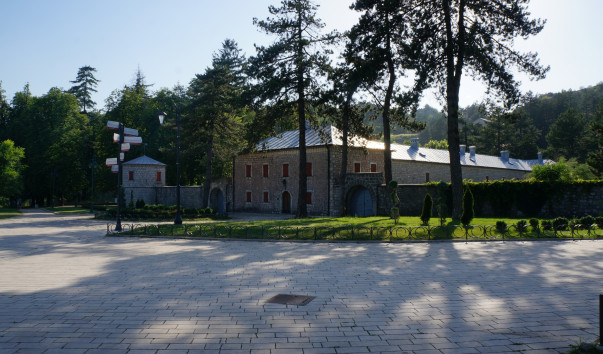 DSC07208