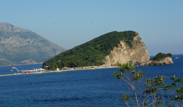 DSC06810
