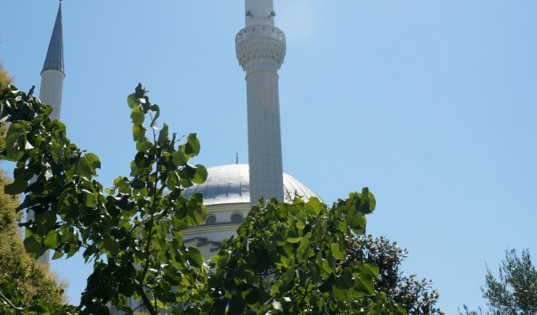 DSC06940
