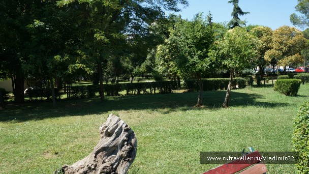 photo 932441