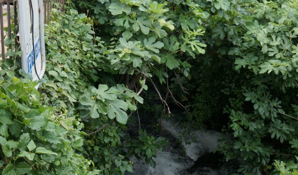 DSC08084