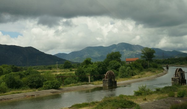 DSC07890