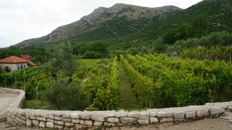 photo 933583