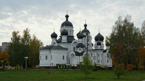 photo 993634